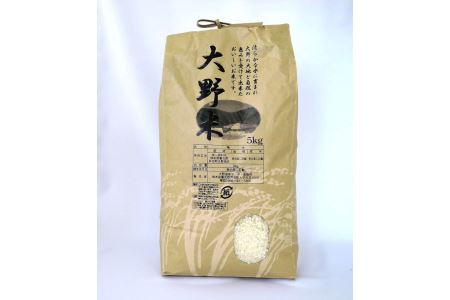 B130-20 大野米【精米】10kg