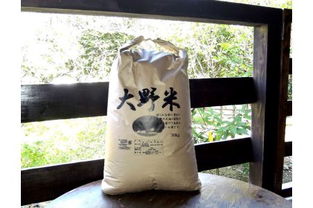B131-35 大野米【玄米】30kg