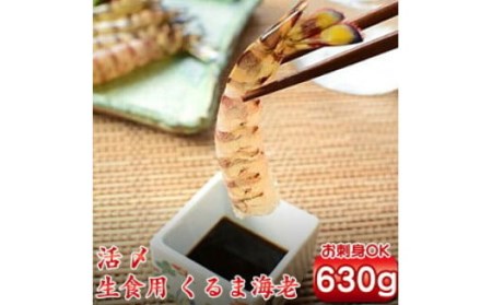 種子島 車えび ミニ　( 生食用 冷凍 化粧箱入り ) 210g ×3パック　NFN364【525pt】
