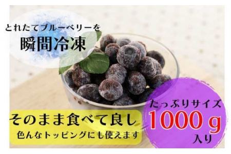 冷凍ブルーベリー 果実 1kg 〈丹波市産〉 ブルーベリー 果物