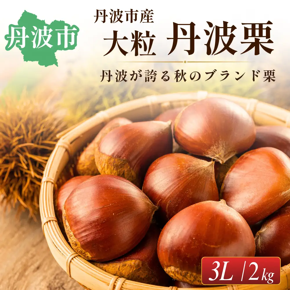 丹波市産　丹波栗　3L・2kg
