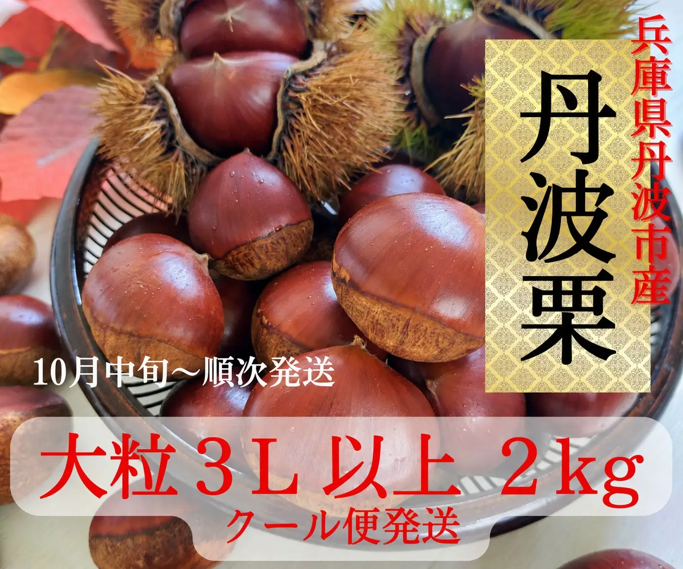 丹波栗 3L以上 2kg 〈丹波市産〉 大粒栗 果物