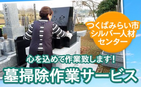 墓掃除作業