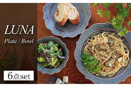 【美濃焼】LUNA プレート・ボウル 3形状 各2点 計6点セット【ヤマ吾陶器】食器 皿 鉢 パスタ皿 カレー皿 サラダボウル ワンプレート メインディッシュ ランチ ディナー 上品 高級感 おしゃれ レンジ対応 食洗機対応 送料無料 [MCE006]