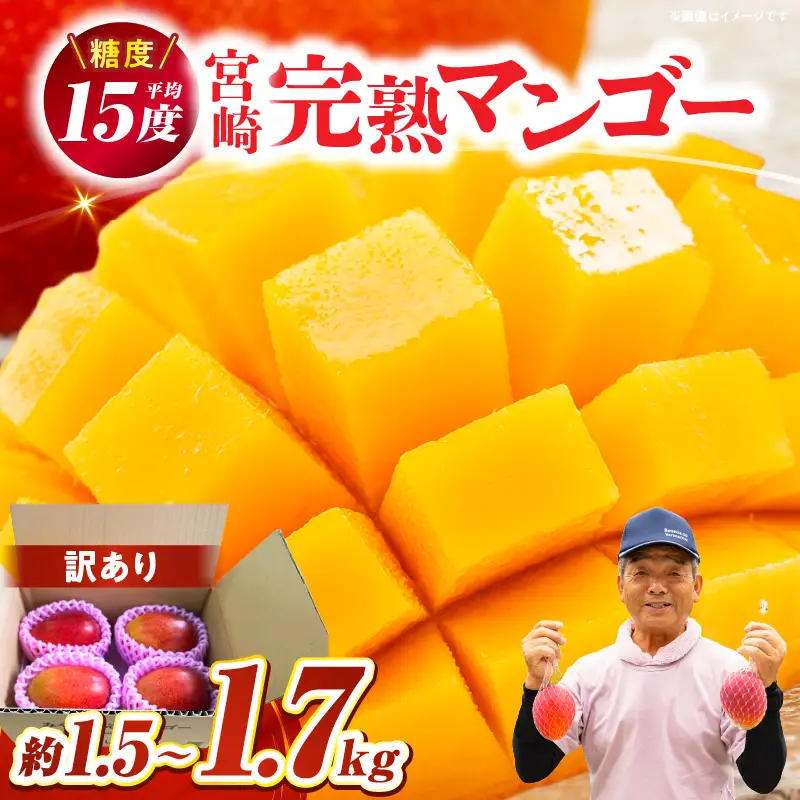 【生産者応援】訳あり！糖度13度以上！平均15度！ご家庭用 宮崎完熟マンゴー1.5～1.7 kg（2Lサイズ2玉入の約2倍！）_K005-019