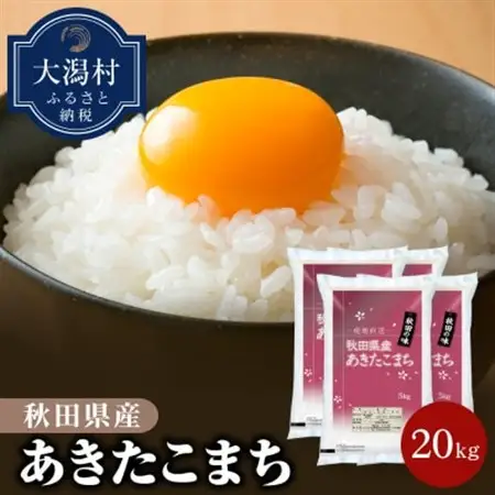 秋田県産あきたこまち20kg【令和7年産】【配送不可地域：離島・沖縄県】【1381407】