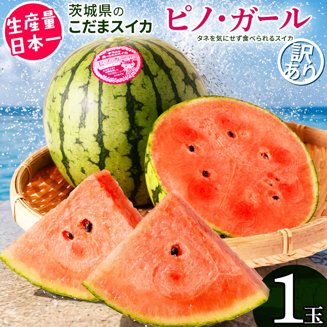 《 2027年 収穫分 》 訳あり タネが気にならない 小玉スイカ ピノ・ガール 1玉 先行予約 国産 KEK 小玉 スイカ すいか 小玉すいか こだますいか ピノガール 国産 西瓜 フルーツ 果物 くだもの 訳アリ 不揃い 農家直送 旬 甘い 人気 産直 昼めし旅 [BC058sa]