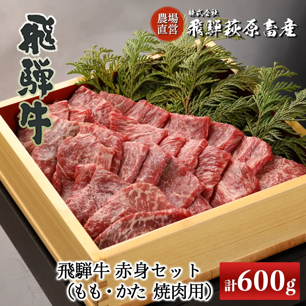 飛騨牛焼肉セット 600g（もも焼肉 300g・かた焼肉 300g）【22-27】