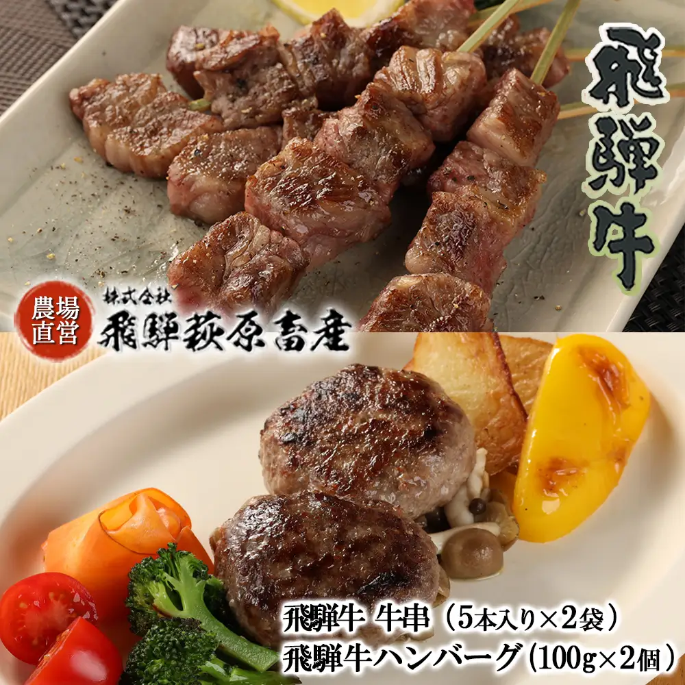 飛騨牛串焼き・飛騨牛ハンバーグセット（牛串 10本・ハンバーグ 100g×2個）【22-33】