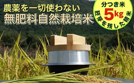 米 【胚芽を残した精米】自然栽培米 にこまる 分つき米5kg 米 京都丹波産米 無農薬米栽培 厳選品種米