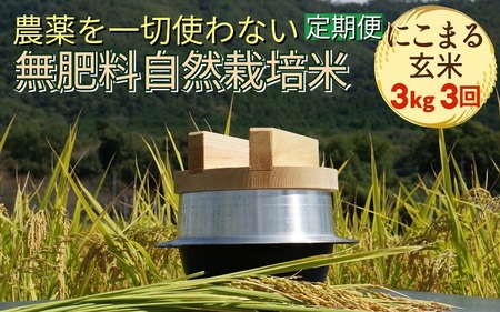 自然栽培米 にこまる 玄米 定期便 3kg×3回