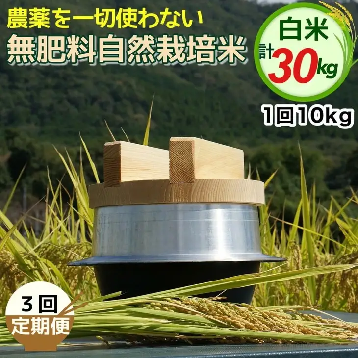 自然栽培米 にこまる 白米 定期便 10kg×3回