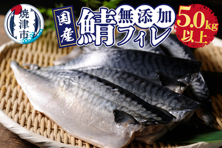 5.0㎏以上！ 国内産 無添加 さば フィレ (a24-033)