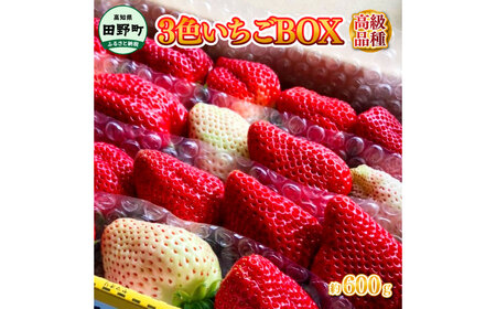 高級品種3色いちごBOX 計600g程度 