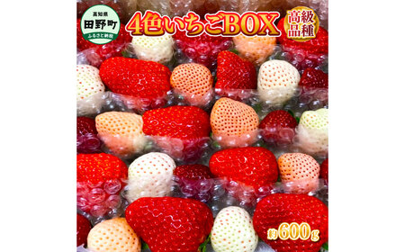 高級品種4色いちご ボックス 計600g程度
