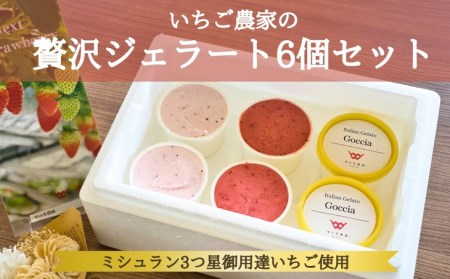 いちごジェラート 6個入 いちご