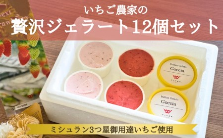 いちごジェラート 12個入 いちご