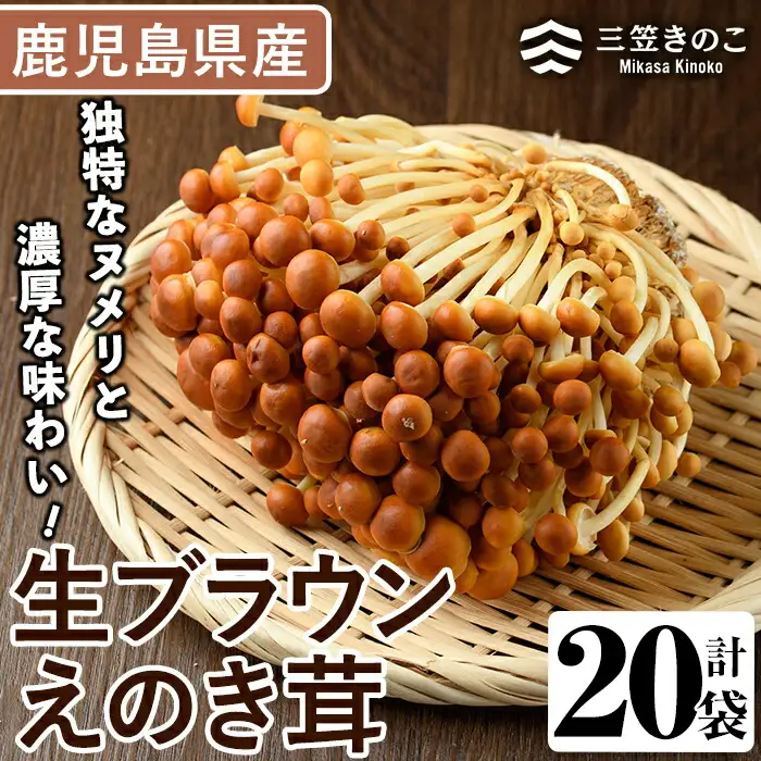 生ブラウンえのき茸(20袋・計3.6kg)国産 エノキ きのこ 茸 キノコ 個包装【三笠えのき茸生産組合】akn010-09