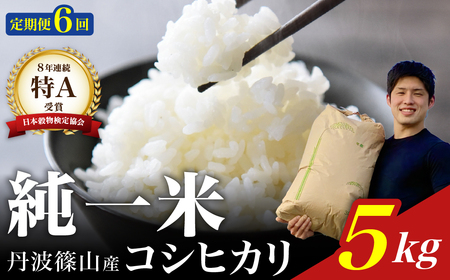 定期便6回【令和７年産】丹波篠山産 コシヒカリ 5kg DS03