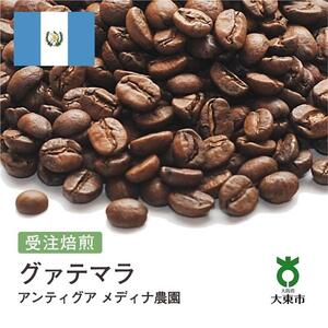 [豆]#105 受注焙煎！310g グァテマラ アンティグア メディナ農園 珈琲豆 コーヒー豆 自家焙煎