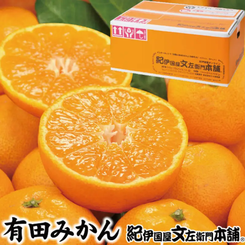ブランド有田みかん【M】秀品10kg ／産地直送／薄皮で甘い美味しい和歌山県産／紀伊国屋文左衛門本舗　※2026年11月上旬～2027年1月中旬頃に順次発送予定（お届け日指定不可）【kstb142C】