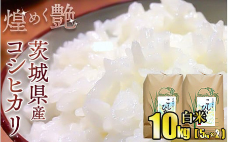 煌めく艶　令和8年 茨城県産 コシヒカリ 10kg (5kg×2) 【白米】※2026年9月下旬頃より順次発送