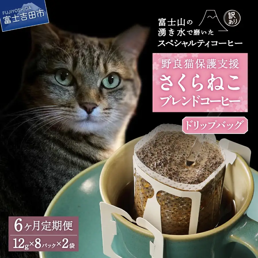 【訳ありコーヒー定期便】野良猫保護支援 スペシャルティ ドリップコーヒー 6ヶ月コース 珈琲