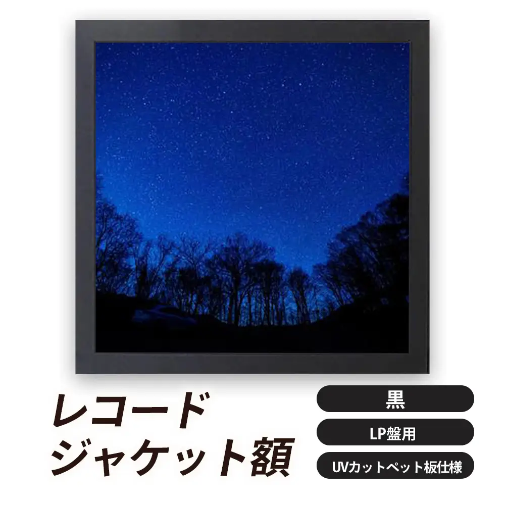 レコードジャケット額 黒 LP盤用 UVカットペット板仕様 [No.704]