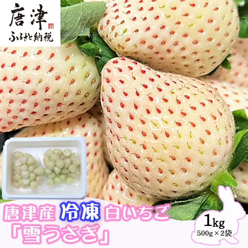 唐津産 冷凍白いちご「雪うさぎ」500g×2袋(合計1kg)