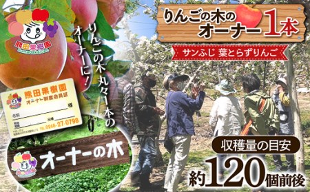 りんごの木のオーナー1本 サンふじ 葉とらずりんご F21R-885