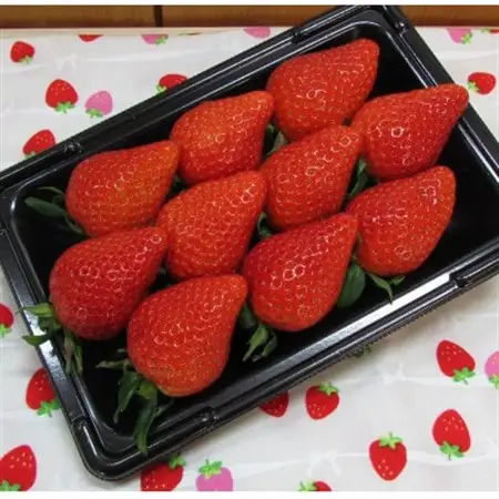 いちご260g×4パック入り(品種お任せ)【配送不可地域：離島・北海道・沖縄県・中国・四国・九州】【1382563】