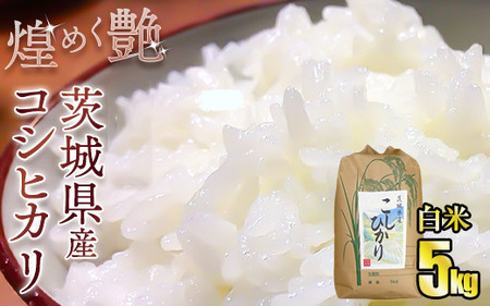煌めく艶 令和8年茨城県産コシヒカリ5kg【白米】※2026年9月下旬頃より順次発送