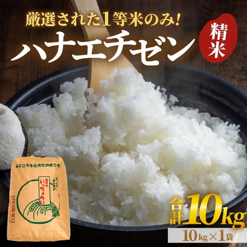 【先行予約】【令和8年産・新米】【一等米】ハナエチゼン 精米 10kg ×1袋《発送直前精米！》 ／ ブランド米 華越前 ご飯 お米 白米 新鮮 あわら市産 農家直送 大賞 受賞 新米 ※2026年9月上旬以降順次発送予定 [aw012-a035]