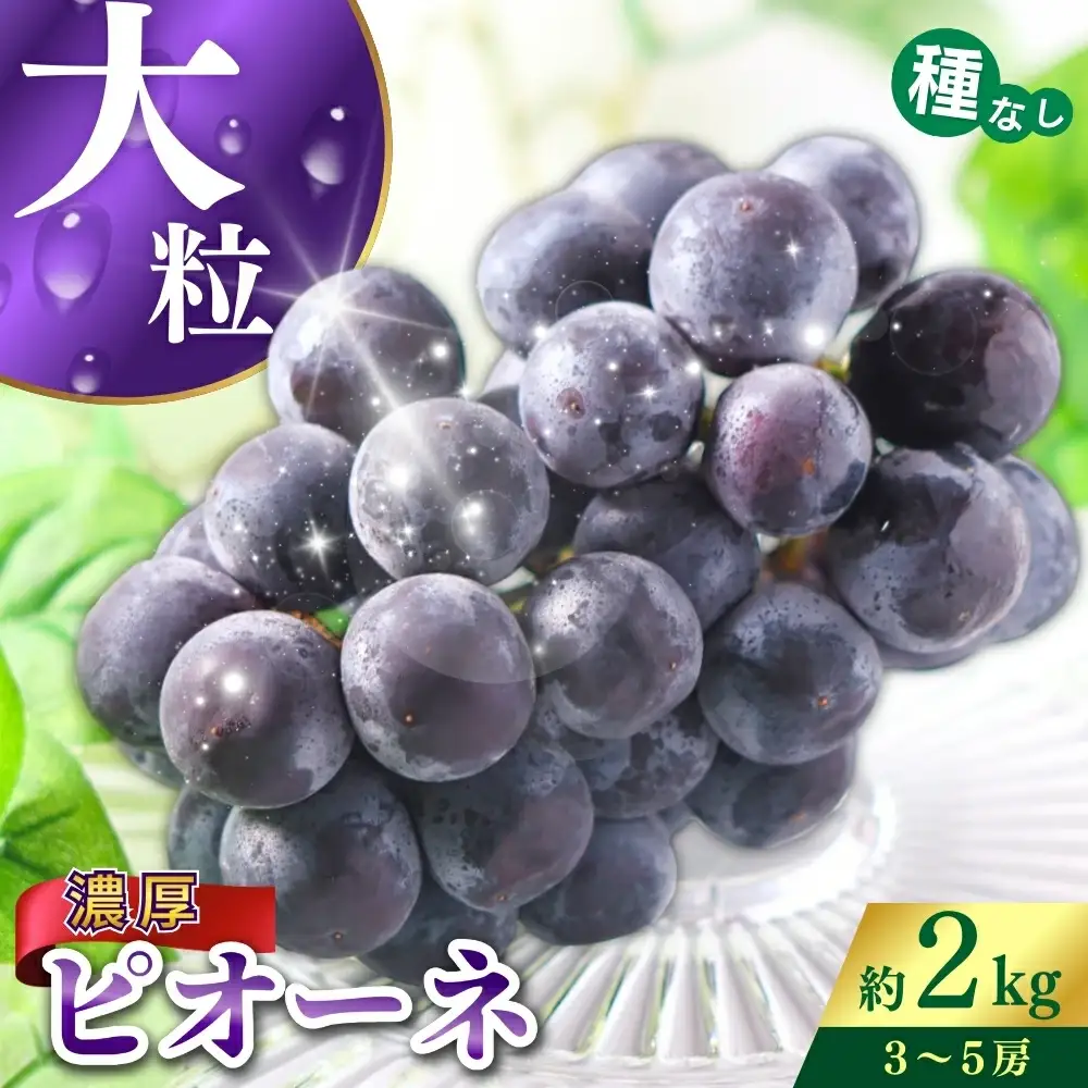 ピオーネ 種なしピオーネ 約2kg 【A213-frks109】