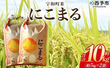 ＜令和7年産 西予市宇和町産 にこまる 約10kg＞ お米 コメ 白米 精米 単一原料米 ご飯 晩稲 大粒 精米 ご飯 ライス 穀物 ニコマル 特産品 愛媛県産 西予市産 宇和町産 三好フク 愛媛県 西予市【常温】『1か月以内に順次出荷予定』UMH0005