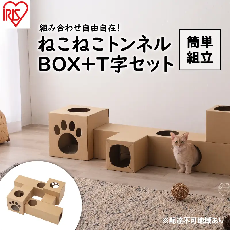 ねこねこトンネル BOX＋T字セット P-NTBT アイリスオーヤマ キャットウォーク ねこねこトンネル