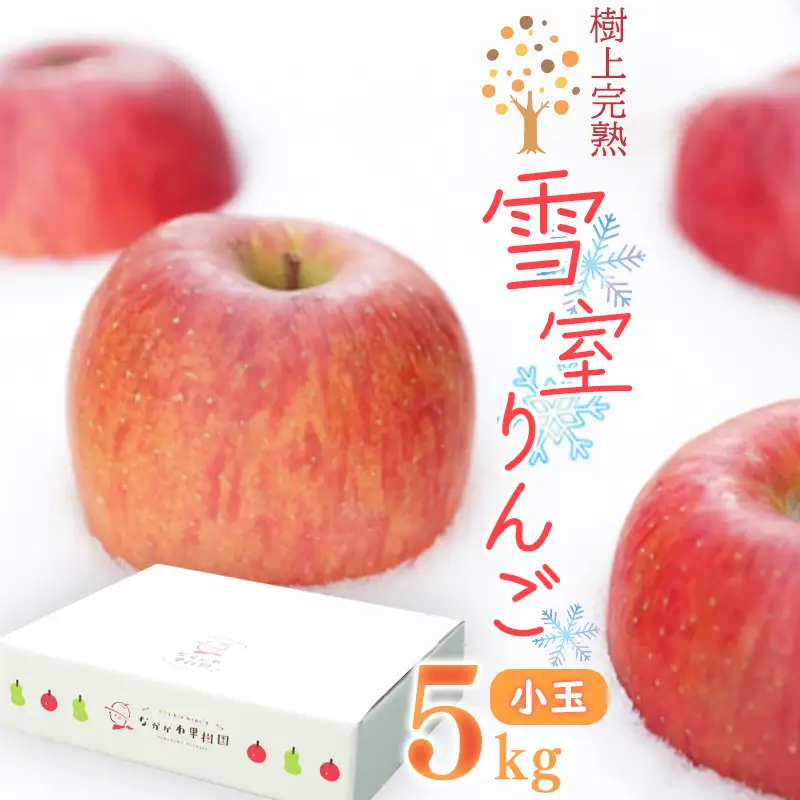 令和8年産 雪室りんご 5kg 「樹上完熟 ふじりんご」 小玉サイズ 2026年産 山形県産 【2027年1月上旬頃から3月頃 発送予定】　020-B-NG002