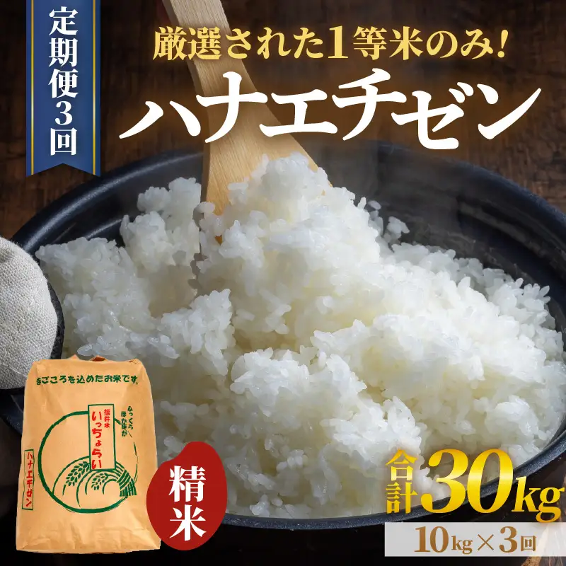 【先行予約】【令和8年産・新米】【一等米】＜定期便3回＞ ハナエチゼン 精米 10kg × 3回（30kg）《発送直前精米！》 ／ 福井県産 ブランド米 ご飯 白米 お米 コメ 新鮮 大賞 受賞 新米 ※2026年9月上旬以降順次発送予定 [aw012-d009]