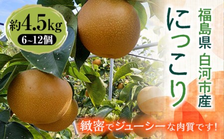 有機肥料 低農薬栽培の梨 にっこり 約4.5kg F24R-231
