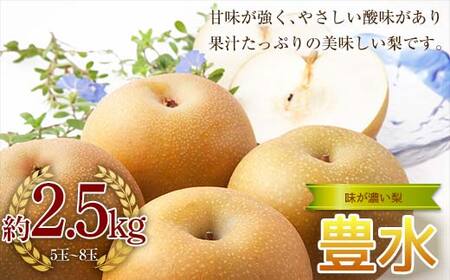 《2026年秋出荷》味が濃い梨 豊水約2.5kg（5～8玉） F24R-120
