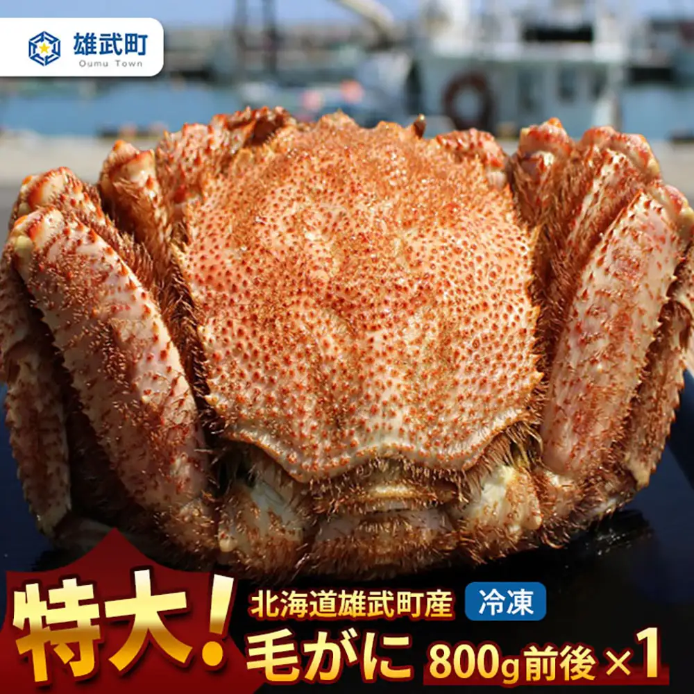 特大!毛がに（冷凍）北海道雄武町産(800g前後×1)【1240401】
