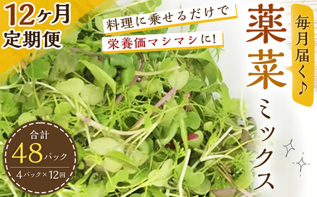 【12回定期便】 毎月届く 薬菜 ミックス 約280g × 12回 定期便 大分県産 野菜