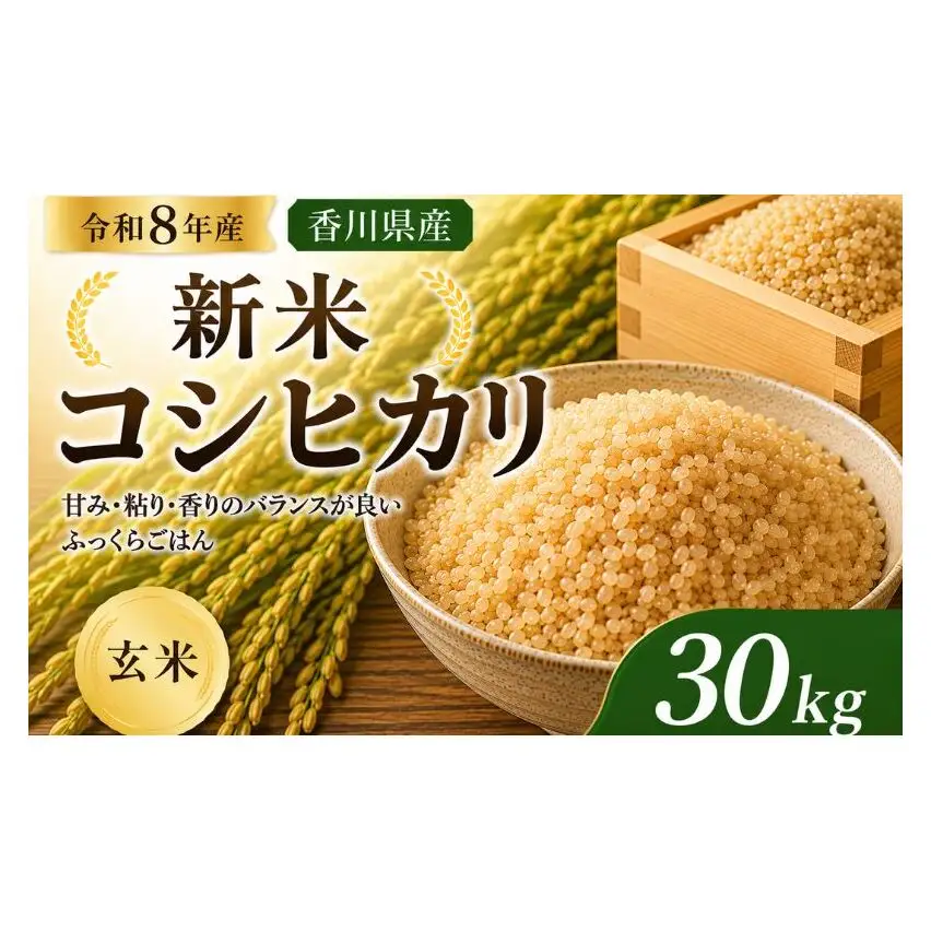 コシヒカリ 令和8年産新米 玄米 香川県産 コシヒカリ【30kg】