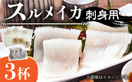 スルメ 刺身用 （生食用）3杯  [JEW009] スルメ