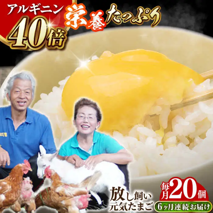 【全6回定期便】【栄養満点！】アルギニン元気たまご 20個×6回お届け 定期便 (月1回) 自然栽培 たまご 卵 【浅田峠自然塾】[EA16]
