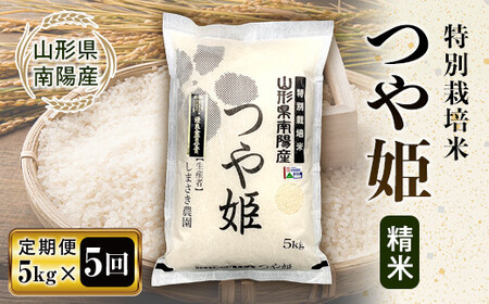 【米食味コンクール金賞受賞農園】 《定期便5回》 令和7年産 特別栽培米 つや姫 5kg×5か月 『しまさき農園』 山形南陽産 米 白米 精米 ご飯 農家直送 山形県 南陽市 [1788]