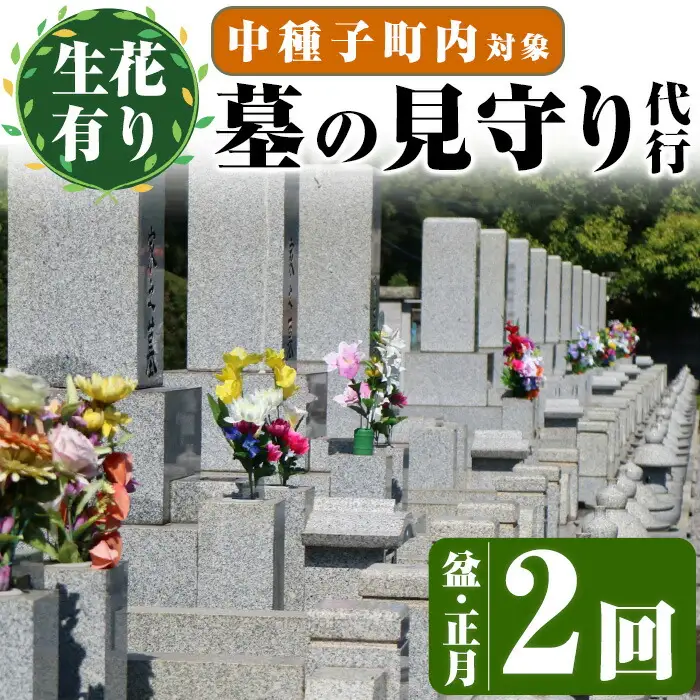 n129 ＜生花有り＞ 墓地 清掃 お墓 見守り サービス 2回 盆・正月 除草 管理 【中種子町シルバー人材センター】