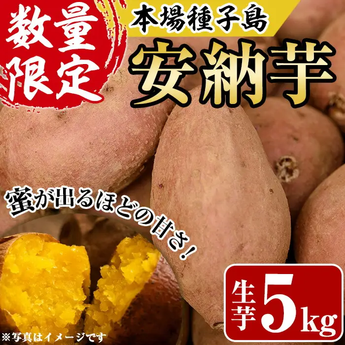 数量限定 安納芋 5kg 種子島 さつまいも 【あぐりの里】n078