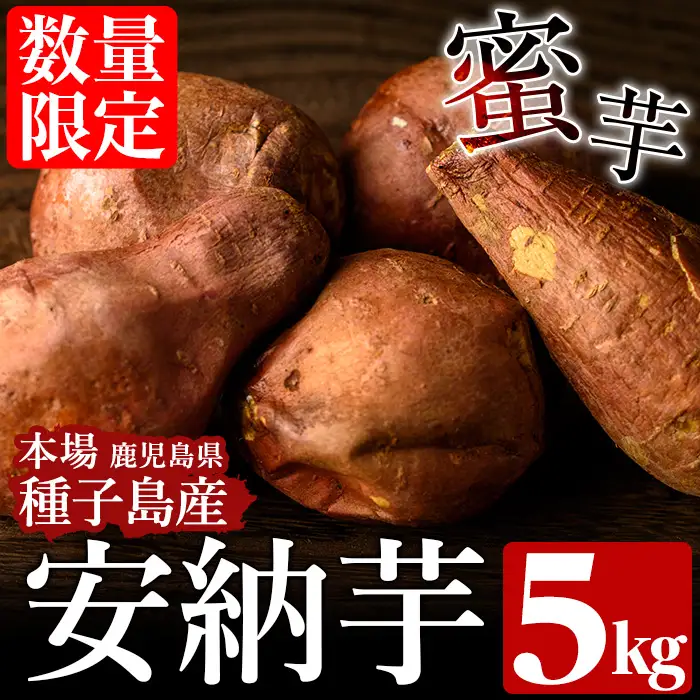 安納芋 さつまいも 5kg 【種子島安納株式会社】n148