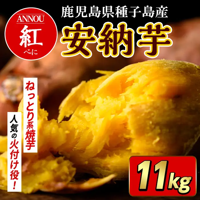 安納芋 さつまいも 紅 11kg 種子島産 【うずえ屋】 n481